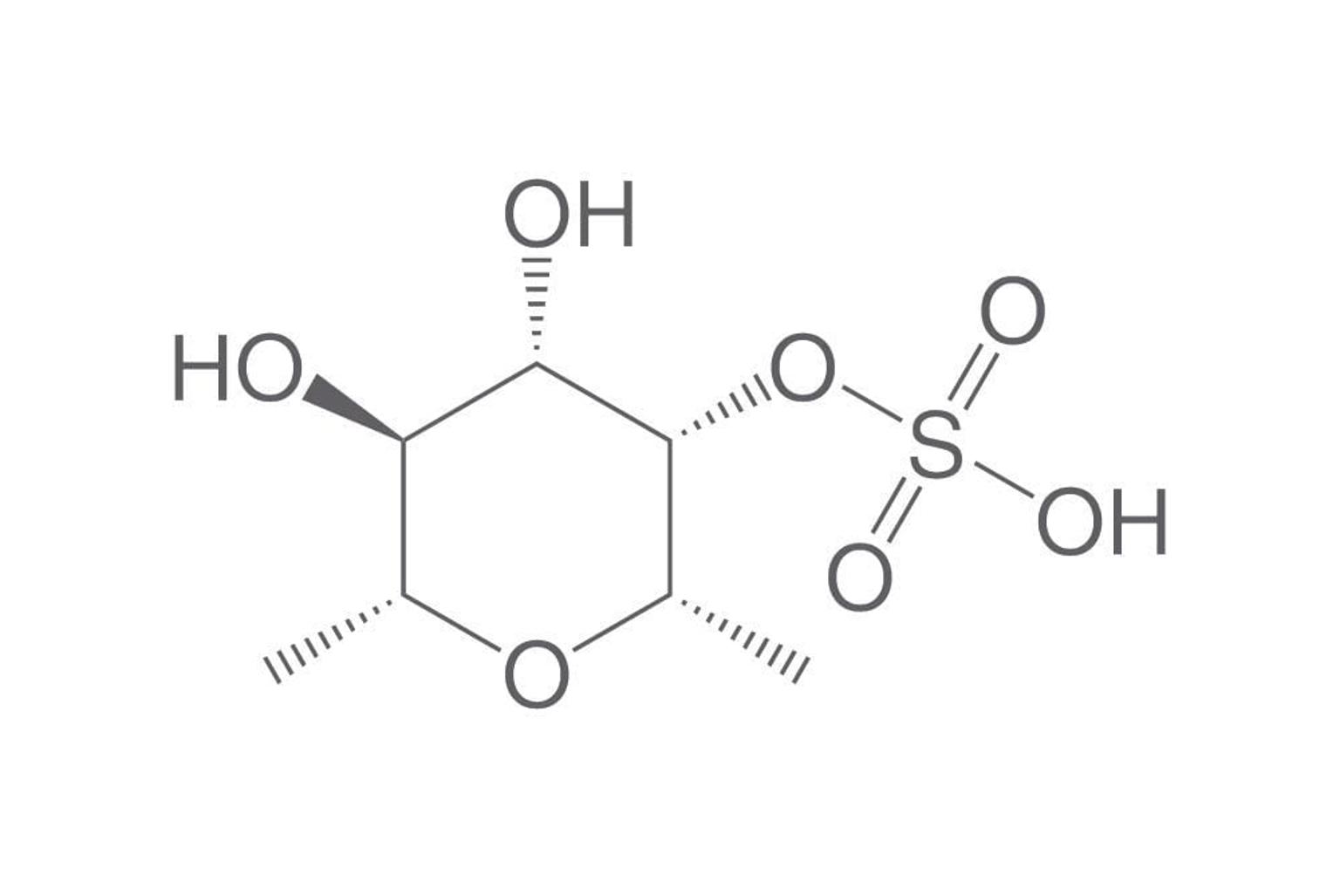 Fucoidan: What It Is, What It Does, and What We Know