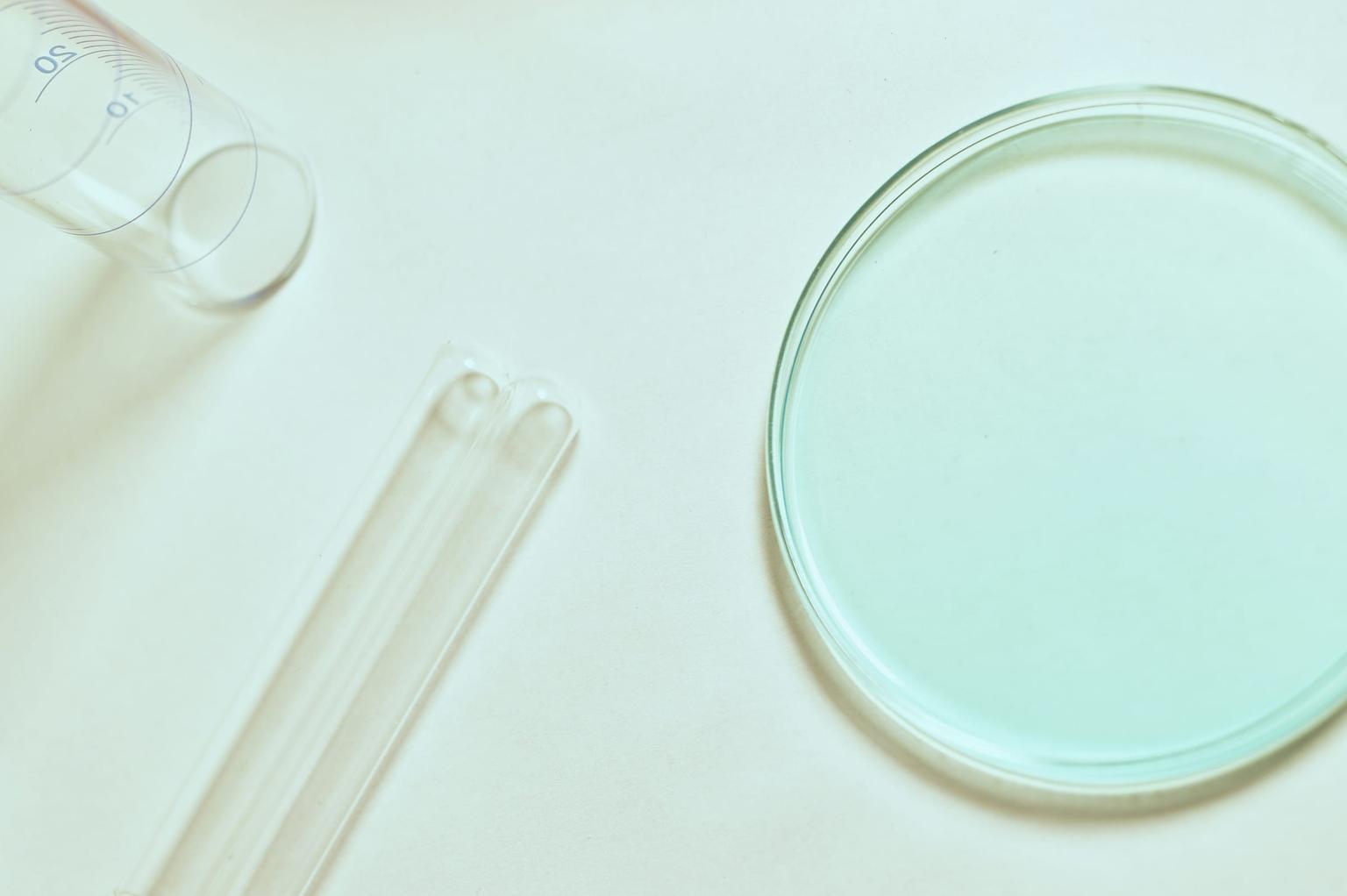 GMP, ISO 22000, and HACCP: What They Mean for Fucoidan